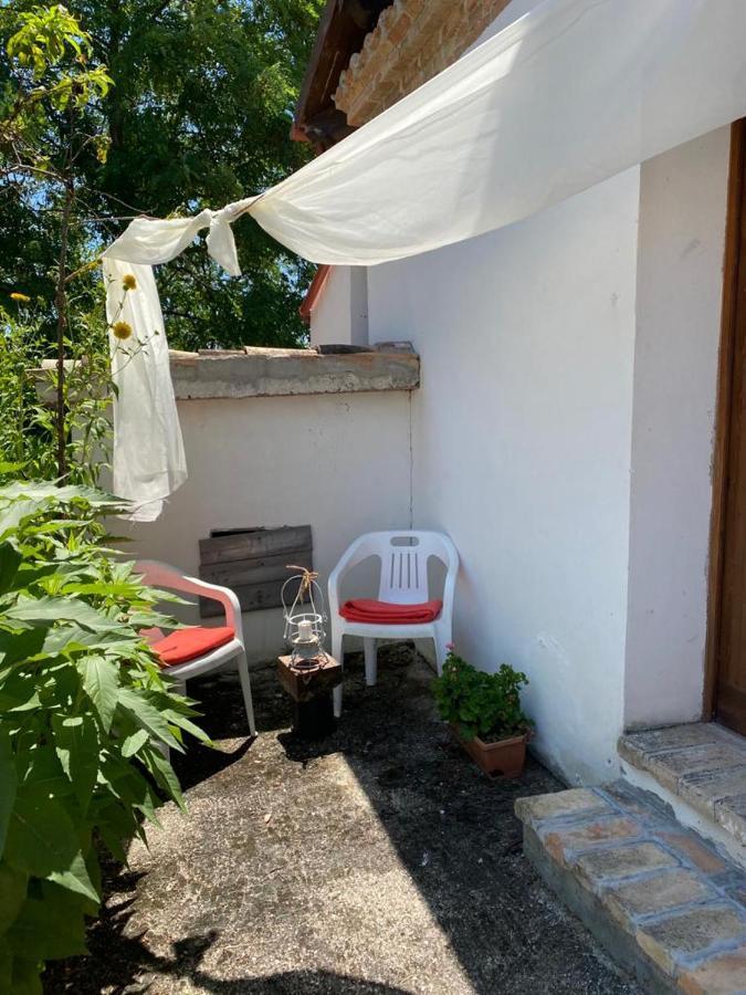 Agriturismo Flara Basciano Экстерьер фото